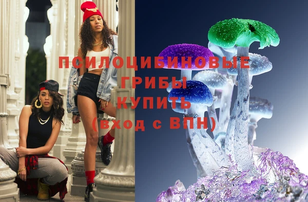 a pvp Кукмор