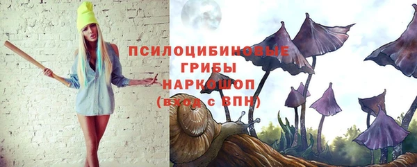 a pvp Кукмор
